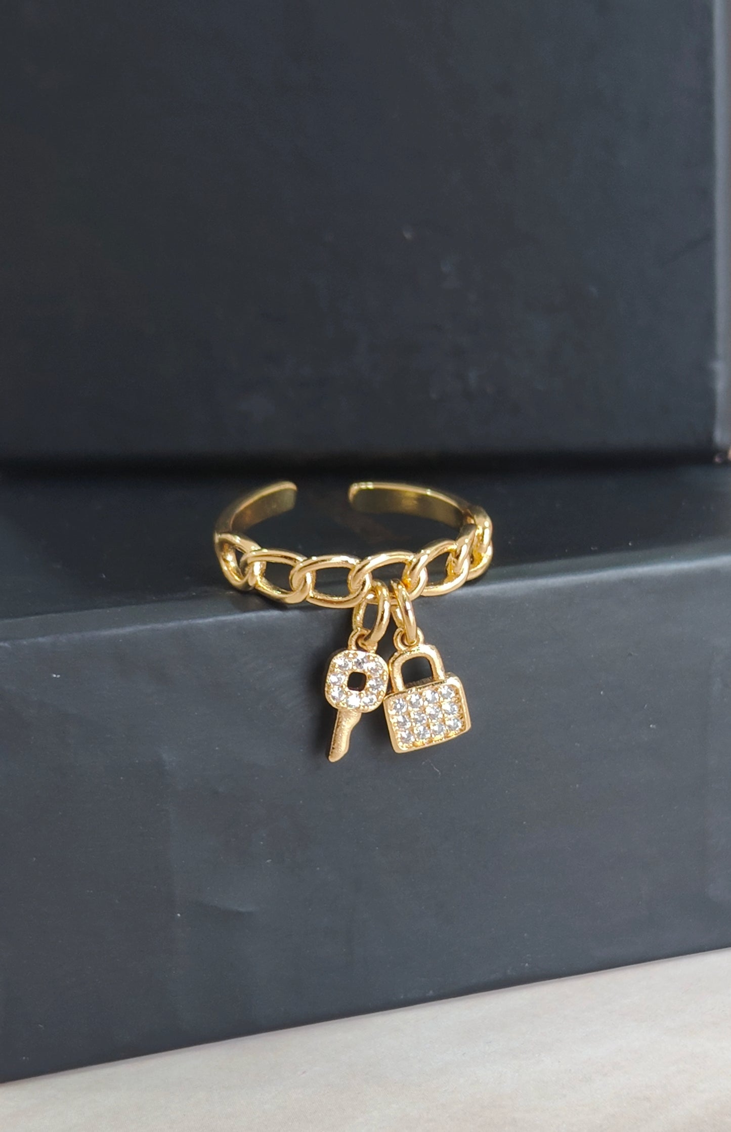 Curb Lock and Key Ring
