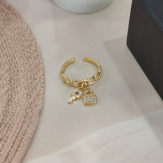 Curb Lock and Key Ring