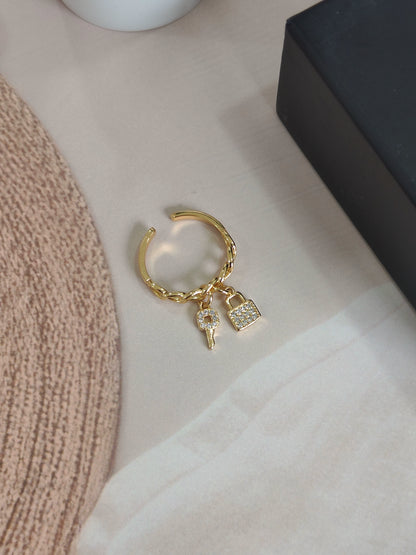 Curb Lock and Key Ring